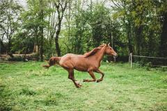 2002�������к�������