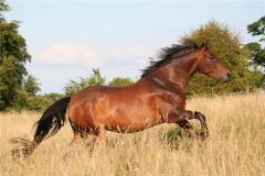 2002������Ůһ������