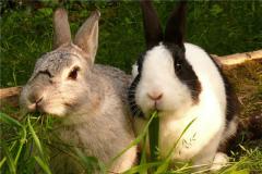 2023�������˵�����